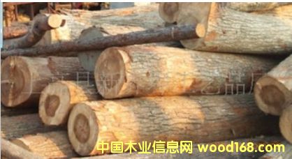 香樟木 香樟木