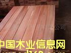 銀口木的詳細(xì)介紹