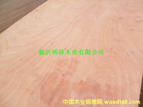 膠合板的詳細(xì)介紹