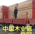 漆木的詳細(xì)介紹
