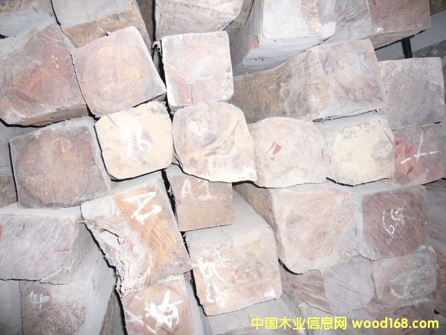 白酸枝的詳細(xì)介紹