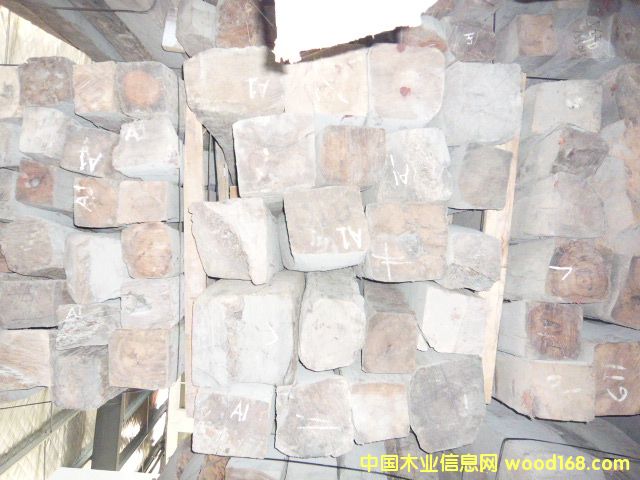 酸枝木的詳細(xì)介紹