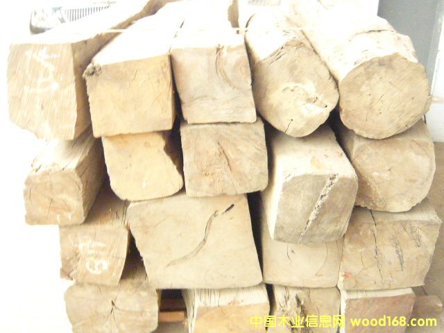 酸枝木的詳細(xì)介紹
