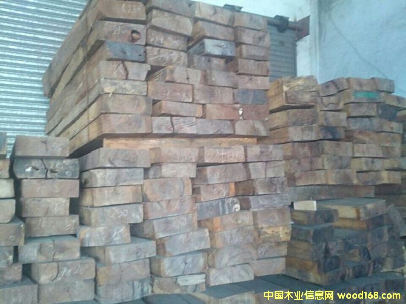 花枝的詳細(xì)介紹