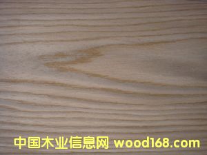 E.V-406cԔ(x)B