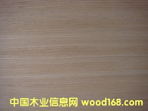 E.V-416Ԕ(x)B