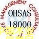 c(din)鿴OHSAS18001I(y)ȫwϵJ(rn)CԔ(x)Y