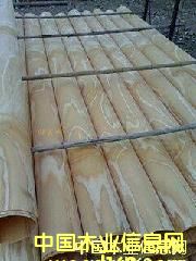 c(din)鿴3*6ľƤŴDƬ