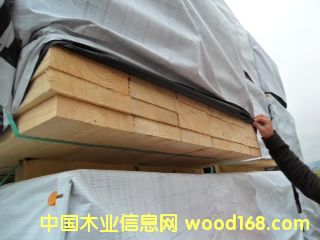 ɼ|2013042208
