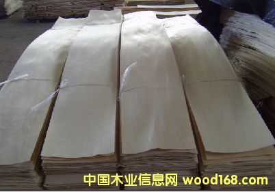 楓樺木皮 楓樺木皮