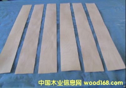 楓樺木皮 楓樺木皮