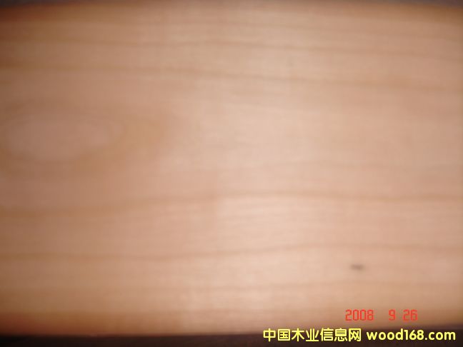 美國櫻桃木皮 美國櫻桃木皮