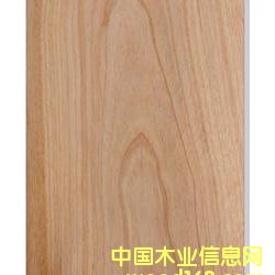 西南樺木皮 西南樺木皮