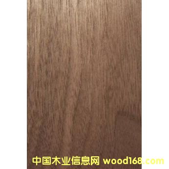 黑胡桃木皮 黑胡桃木皮