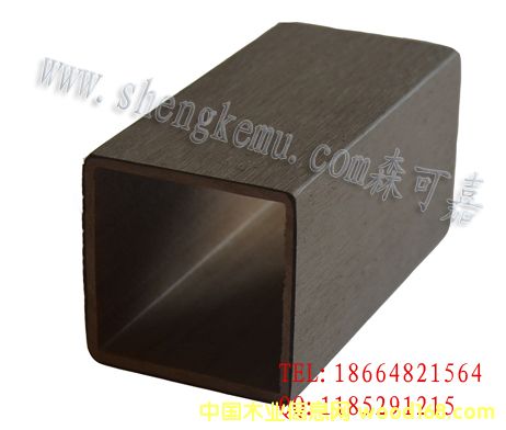 5050{׷ľ
