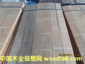 櫸木的詳細(xì)介紹