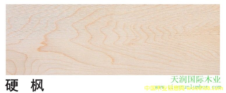 Ӳ    Hard Maple