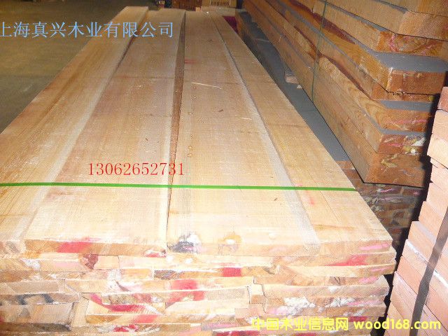 樟子松的詳細(xì)介紹