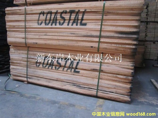 t-Coastal