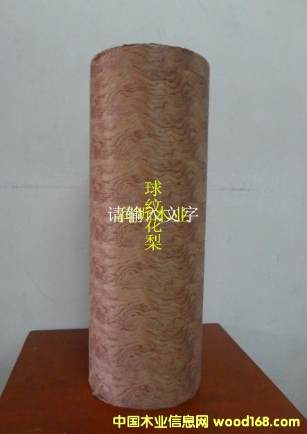 c(din)鿴мľƤyŴDƬ