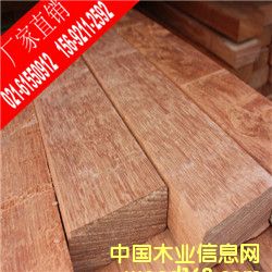 菠蘿格的詳細介紹