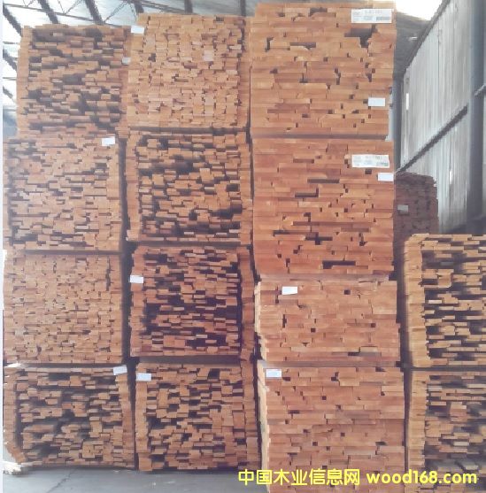 北美赤楊的詳細(xì)介紹