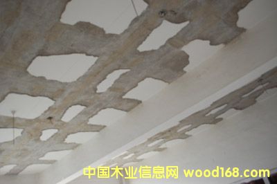 c鿴̼wSŴDƬ