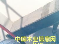 c鿴̼wSŴDƬ