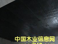 c(din)鿴̼wSԔ(x)Y
