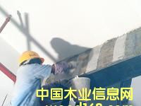 c鿴̼wSŴDƬ