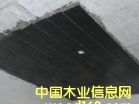 c(din)鿴̼wSԔ(x)Y