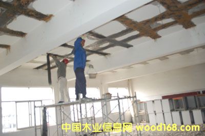 c鿴̼wSŴDƬ