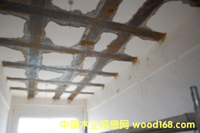 c鿴̼wSŴDƬ