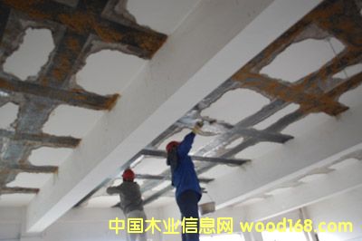 c鿴̼wSŴDƬ