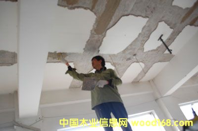 c鿴̼wSŴDƬ