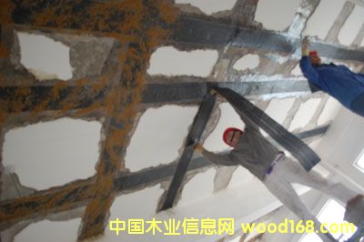 c鿴̼wSŴDƬ