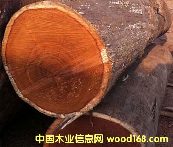 菠蘿格原木的詳細(xì)介紹