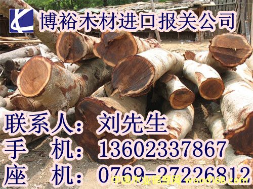 c鿴MڈP(gun)ŴDƬ