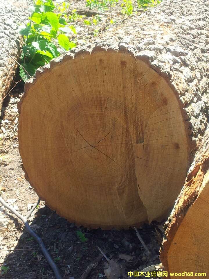ľԔ(x)B