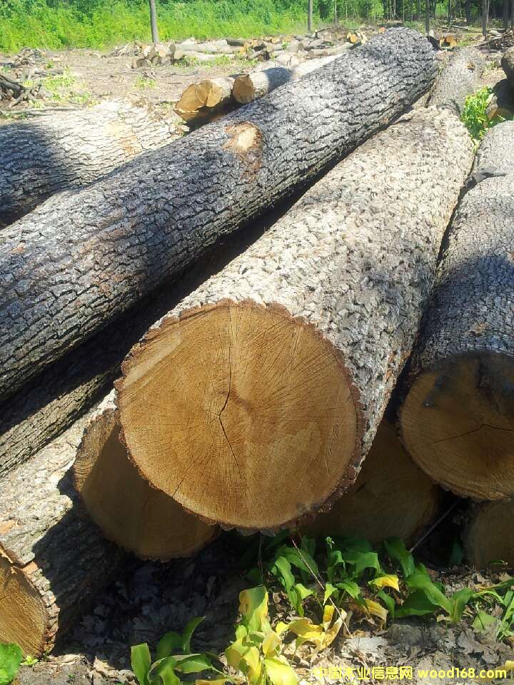 ľԔ(x)B