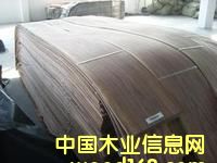 榆木單板 榆木單板