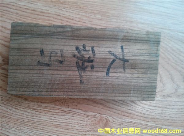 斑馬木 斑馬木