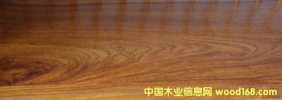 S棨棩(sh)ľ(f)ϵذ