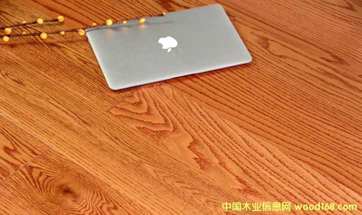 紅橡的詳細介紹