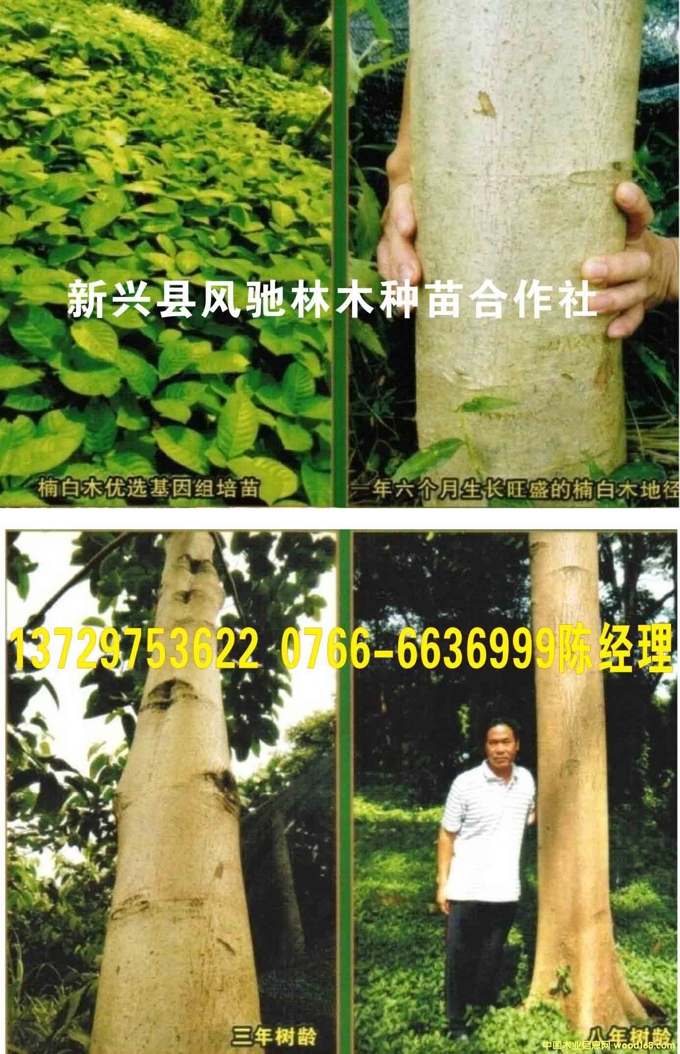 骰ľ8Lr