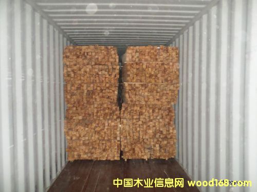 ̩zľľľֵȘϵԔ(x)B