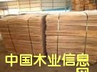 單板的詳細(xì)介紹