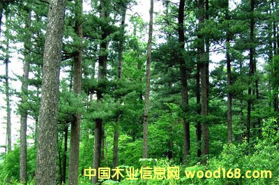 c鿴ҪI(y)M(jn)ڼҾ߈P(gun)zϺC(j)P(gun)еԔ(x)Y