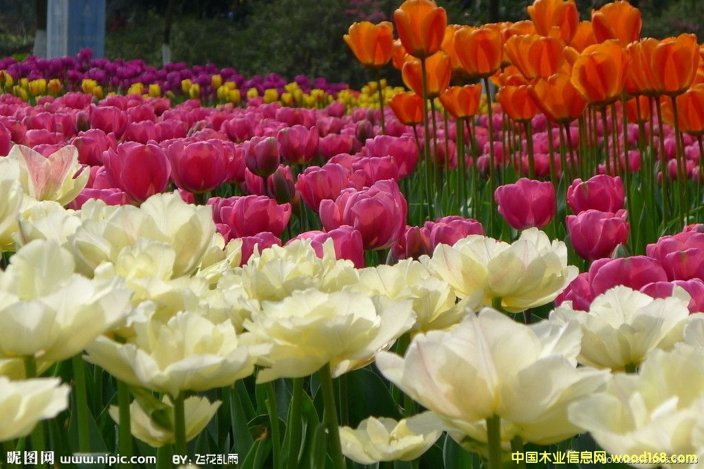 c鿴ЩֲҪM(jn)ڵϺC(j)P(gun)еԔ(x)Y