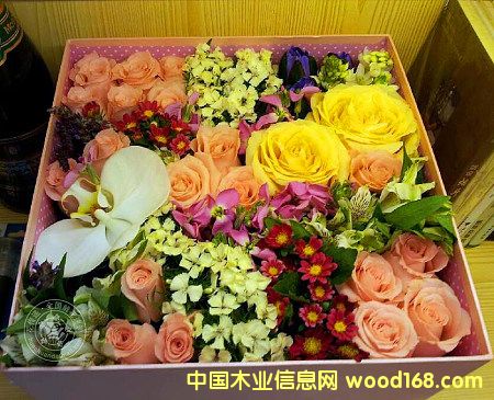 c鿴M(jn)ںm߲õҪЩCϺC(j)P(gun)еԔ(x)Y